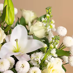 110713_closeup.png