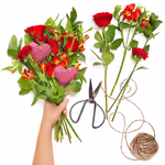 BOU18_162VALS.jpg