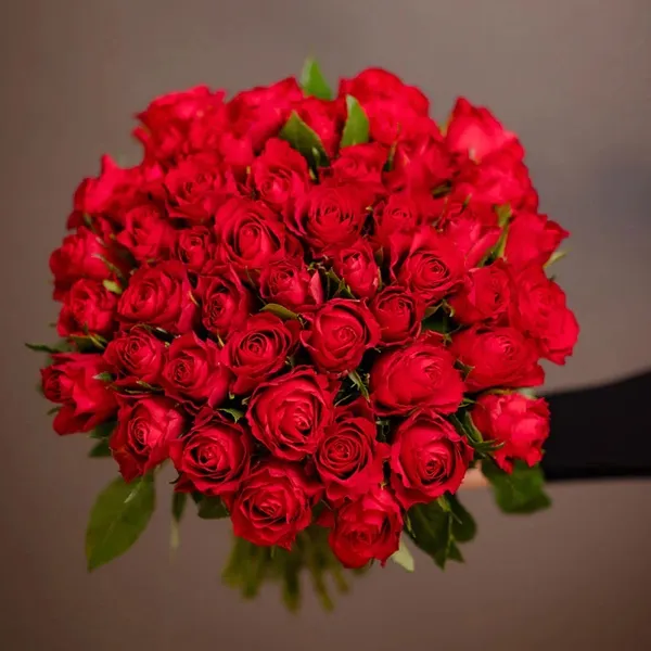 50 Red Roses_4.jpg