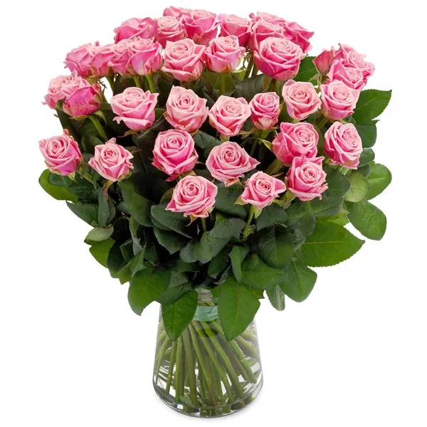Pink roses bouquet